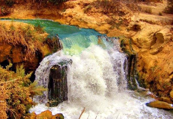 Tour de un día al Oasis de El Fayum Y Wadi El Rayan.